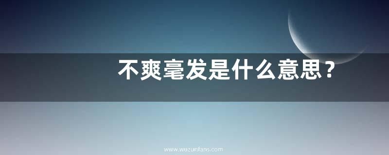 不爽毫发是什么意思？