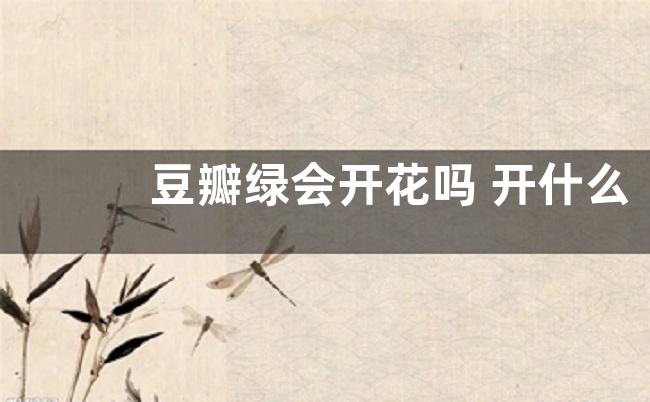 豆瓣绿会开花吗 开什么样的花