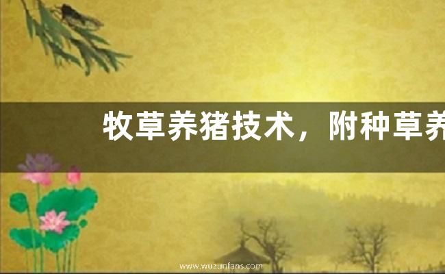 牧草养猪技术，附种草养猪的可行性