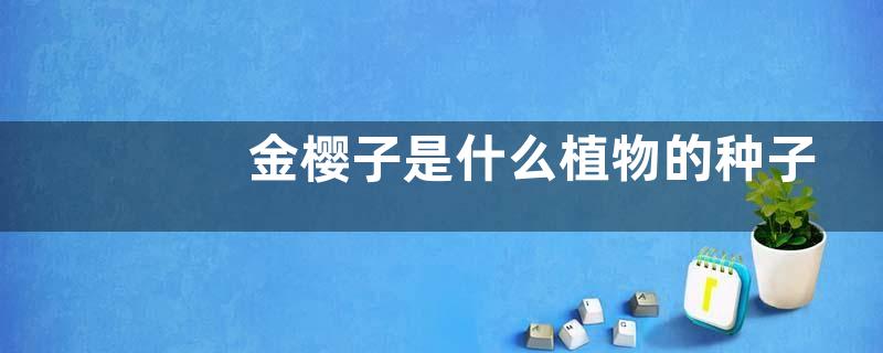 金樱子是什么植物的种子