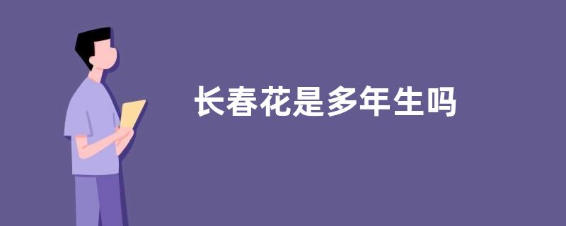 长春花是多年生吗