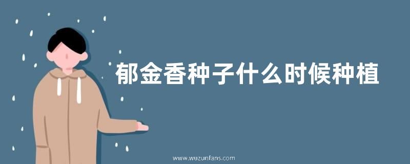 郁金香种子什么时候种植最好