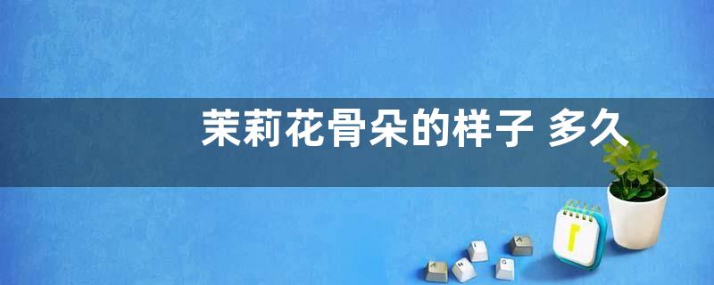 茉莉花骨朵的样子 多久开花