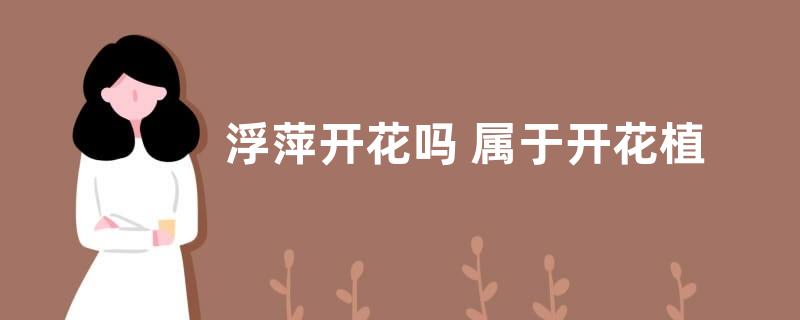 浮萍开花吗 属于开花植物