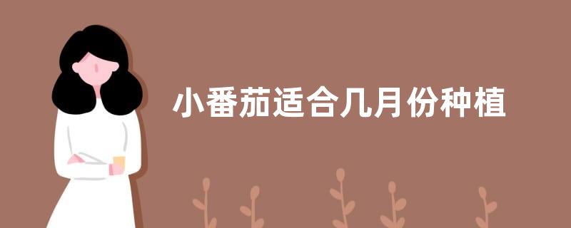 小番茄适合几月份种植