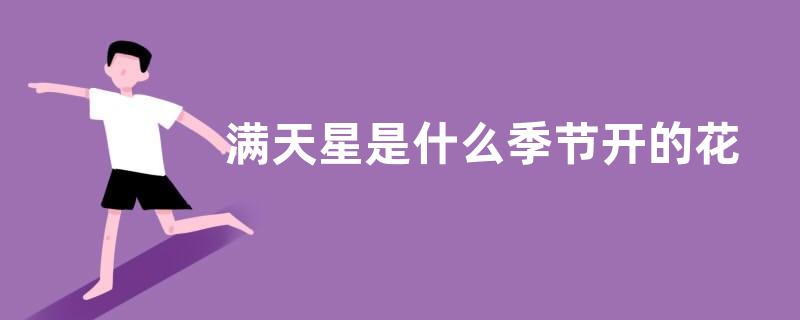满天星是什么季节开的花