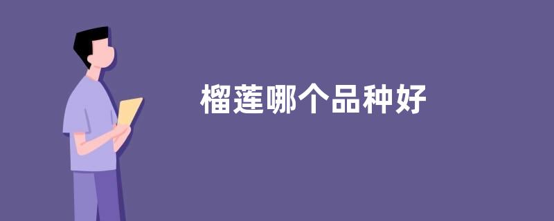 榴莲哪个品种好