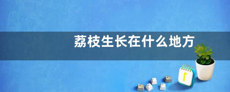 荔枝生长在什么地方