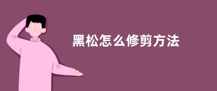 黑松怎么修剪方法