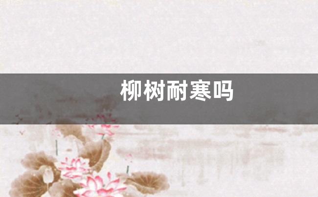 柳树耐寒吗