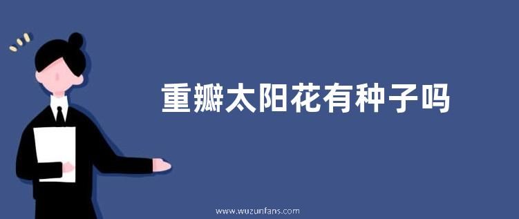 重瓣太阳花有种子吗