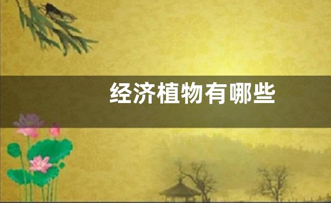 经济植物有哪些