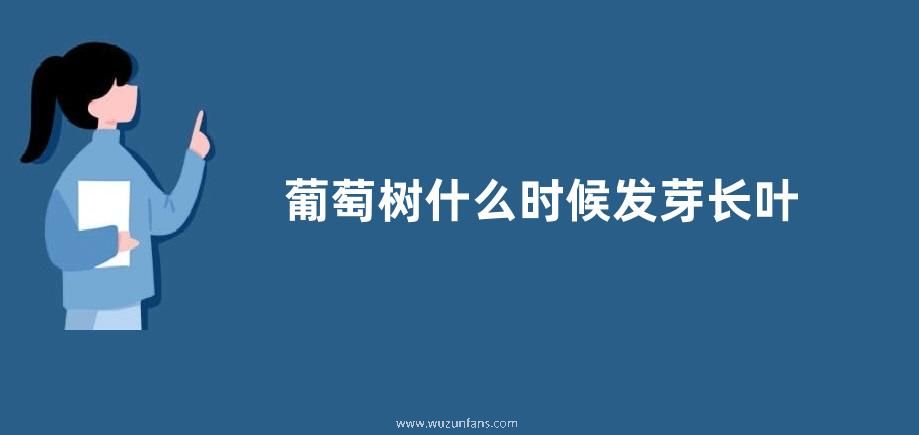 葡萄树什么时候发芽长叶
