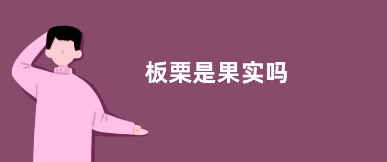 板栗是果实吗