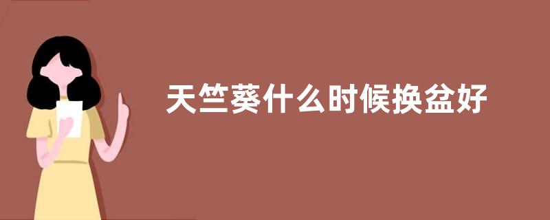 天竺葵什么时候换盆好