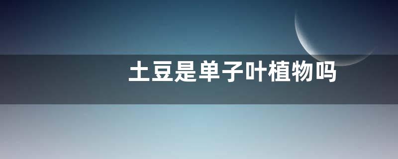 土豆是单子叶植物吗
