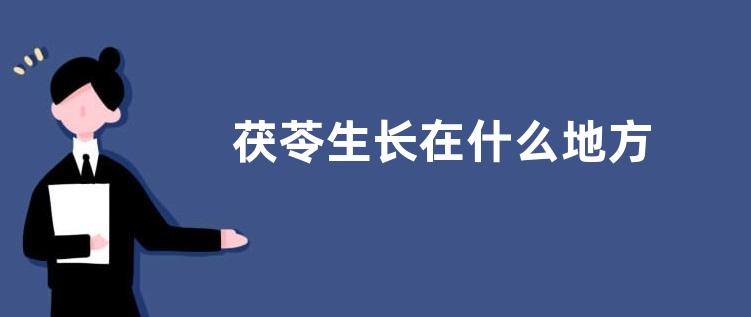 茯苓生长在什么地方