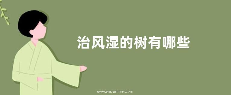 治风湿的树有哪些