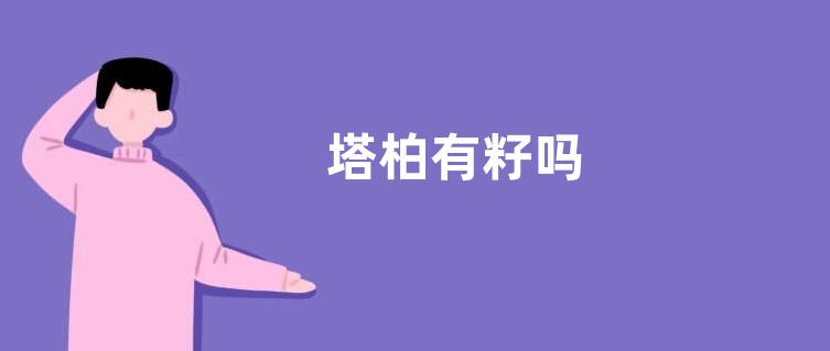 塔柏有籽吗