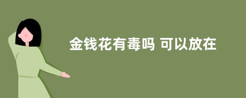 金钱花有毒吗 可以放在室内养吗