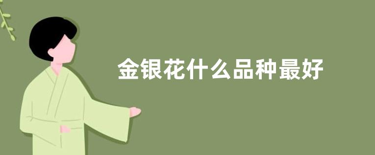 金银花什么品种最好