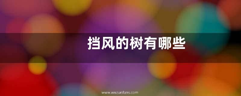挡风的树有哪些
