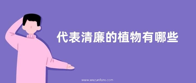 代表清廉的植物有哪些