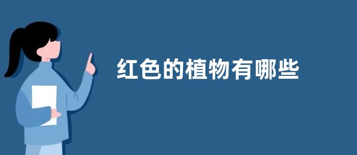 红色的植物有哪些