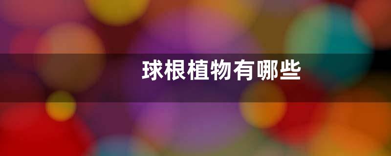球根植物有哪些