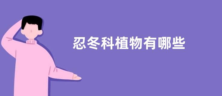 忍冬科植物有哪些