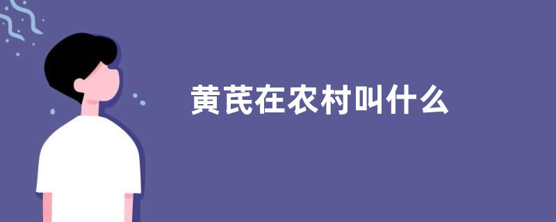 黄芪在农村叫什么