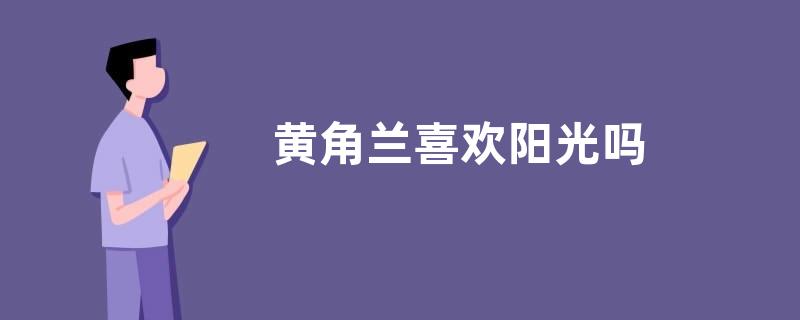 黄角兰喜欢阳光吗