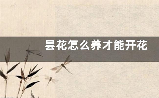 昙花怎么养才能开花