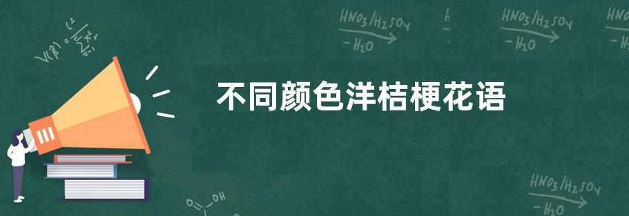 不同颜色洋桔梗花语