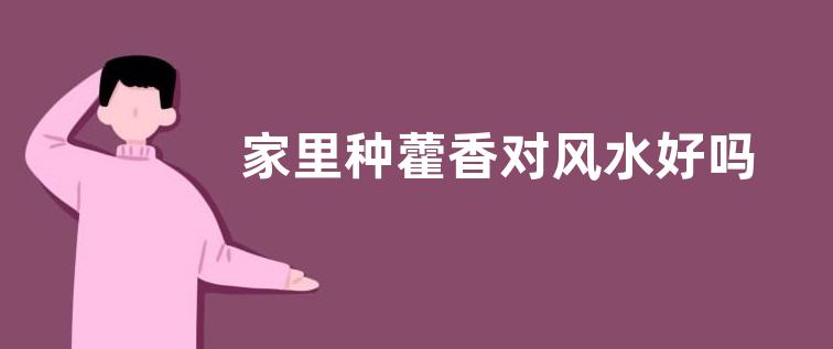 家里种藿香对风水好吗