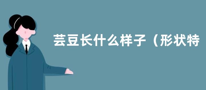 芸豆长什么样子（形状特点及图片）