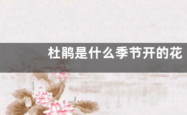 杜鹃是什么季节开的花