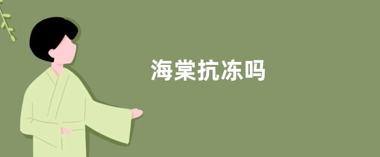 海棠抗冻吗