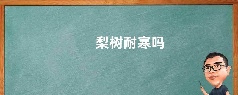 梨树耐寒吗