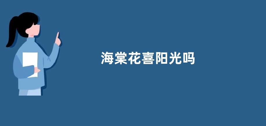 海棠花喜阳光吗