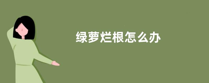 绿萝烂根怎么办