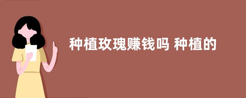 种植玫瑰赚钱吗 种植的效益与利润