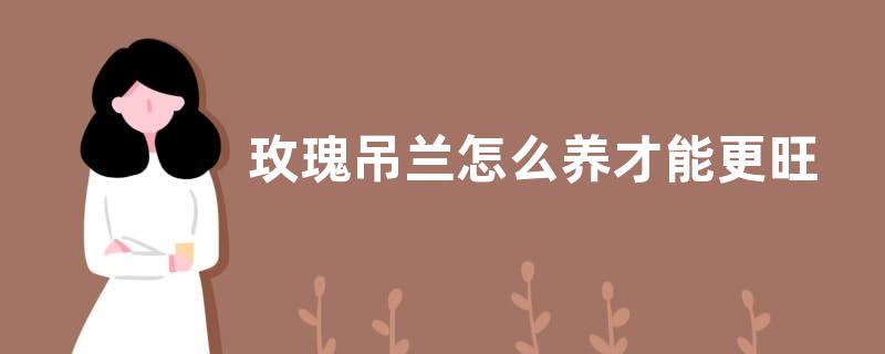 玫瑰吊兰怎么养才能更旺盛