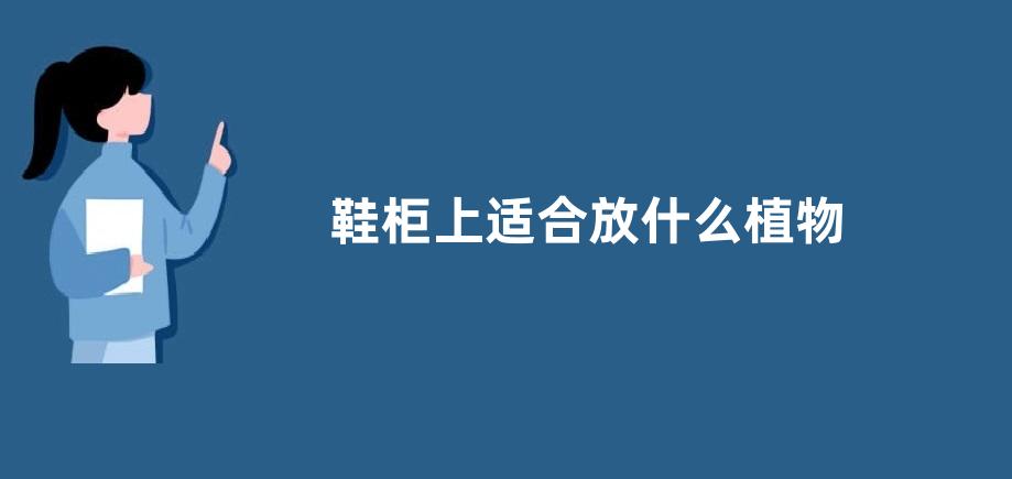 鞋柜上适合放什么植物