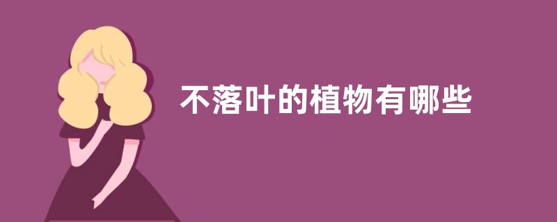 不落叶的植物有哪些
