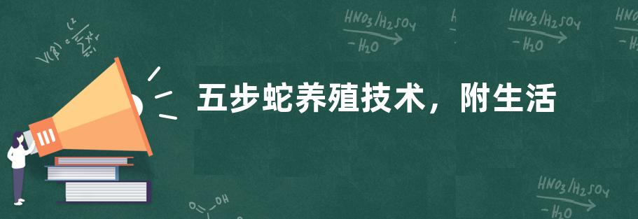 五步蛇养殖技术，附生活习性和四季管理