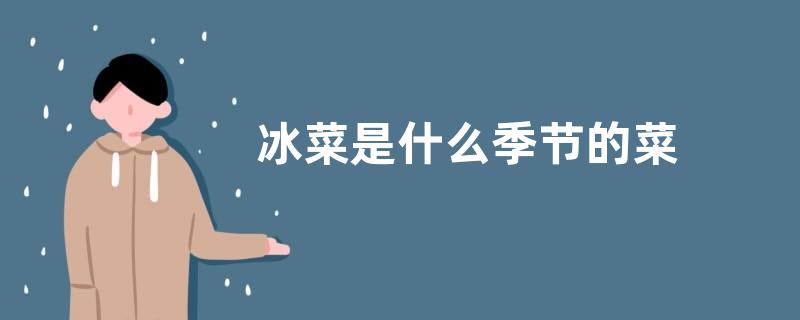 冰菜是什么季节的菜