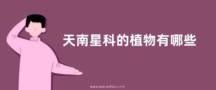 天南星科的植物有哪些