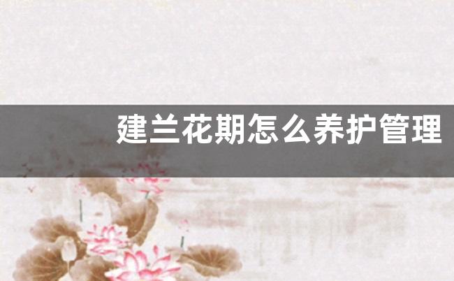 建兰花期怎么养护管理