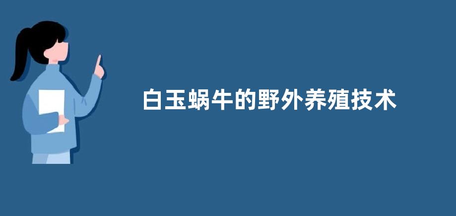 白玉蜗牛的野外养殖技术，附养殖条件
